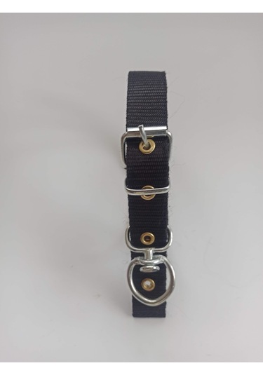 Kozaklı Küçük Irk Köpek Tasması Siyah 50 x 2.5 CM Siyah