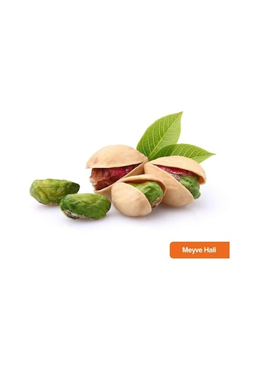 4 Adet Tüplü Siirt - Antep Fıstığı Fidanı