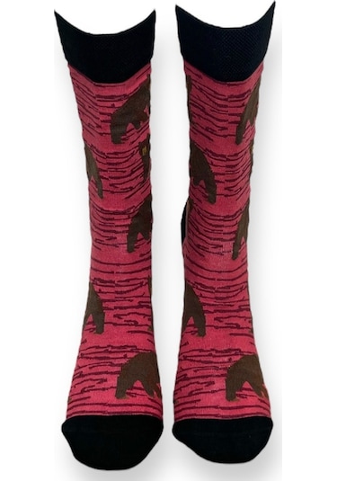 2'li Unısex Hayvan Tasarımlı Esnek Nem Alabilen Pamuklu Spor Soket Çoraplar Çok Renkli