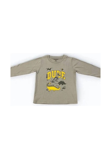 Divonette Erkek Çocuk Dinazor Baskılı Uzun Kollu T-shirt-15088 Gri