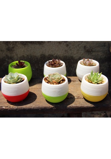 Renkli Mini Yuvarlak Plastik Bitki Saksı Bahçe Ev Ofis Dekorasyonu Kreş Saksıları Su Deposu İle Etli Bitki Saksı, Rastgele Renk Teslimatı