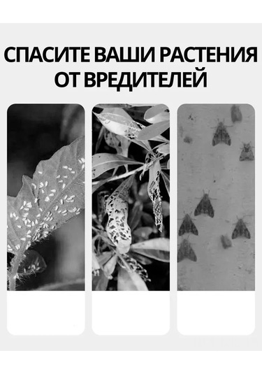 Gajeena 10 Adet Sarı Kelebek Şekilli Bitki Haşere Tuzağı - Çift Taraflı Yapışkan, Sinirci, Aphid, Örümcek Akarı Kontrolü, Ev Bitkileri İçin