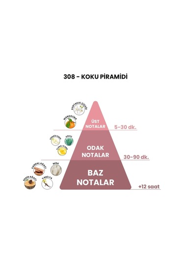 BEX 308 Unisex Parfüm EDP 50 ML