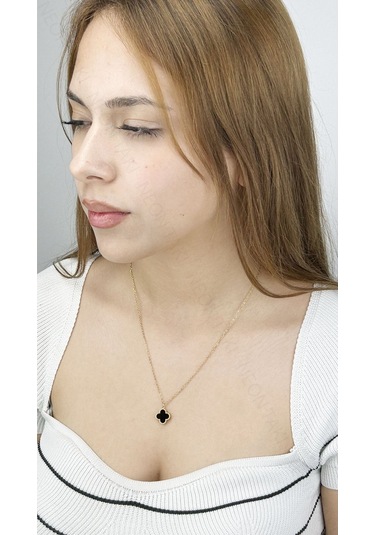 Van Figürlü, Paslanmaz Çelik Kolye 228, Zincir Altın Renk, Figür Siyah Altın