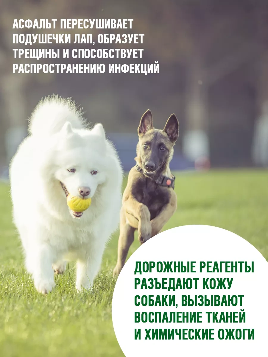 Ecozavr Pantenollu Ve A, E Vitaminli Köpek Şampuanı 500 Ml. 222017431