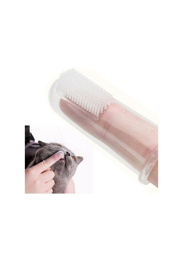 River World Köpekler İçin Diş Fırçası Temizleme Aleti