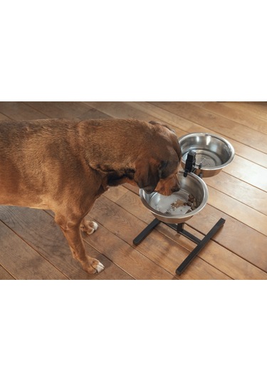 Beeztees Köpek İkili Mama Su Kabı, Ayaklı, Paslamaz Çelik, 28cm, 2x4,5l