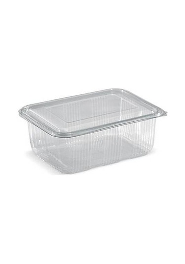 Plastik Saklama Kabı 2000 G 100 Adet Kapaklı Sızdırmaz Kap
