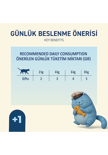 Somonlu Yaş Kedi Maması 85 Gr X 24 Adet Jöle İçinde Parça Etli - Yetişkin Kedi