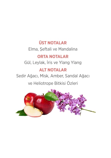 Emotion Romance Kadın Parfüm EDT 50 ML