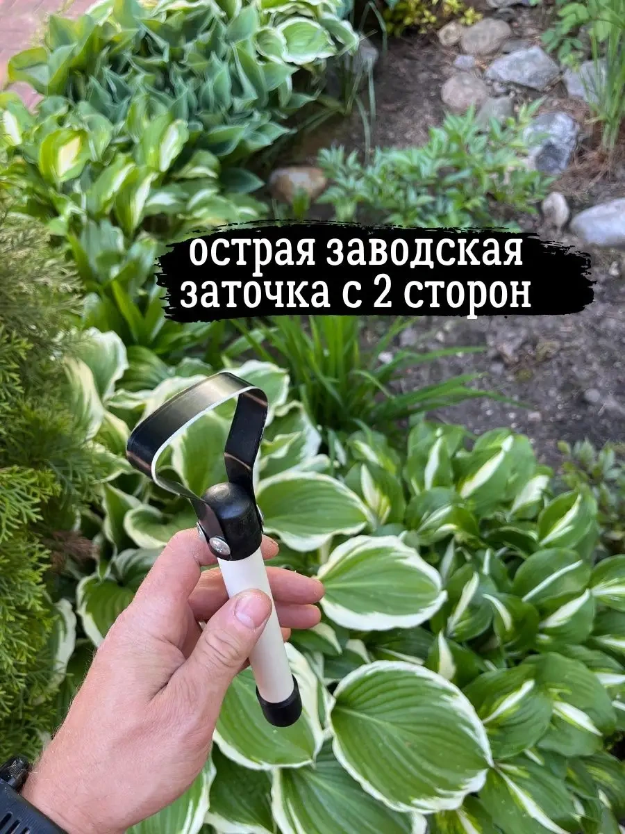 Agromania Bahçe Ve Sebze Bahçesi İçin Düz Kesme Hayvan Kesme Makinesi 163257265