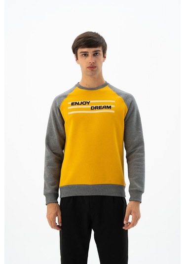 Arma Erkek Büyük Beden Bisiklet Yaka Sweatshirt K24124884401 Sarı