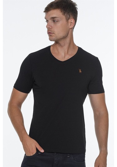 Üçlü Set T8568 Dewberry V Yaka Erkek T-shırt-siyah-beyaz-antrasit Siyah-beyaz-antrasit