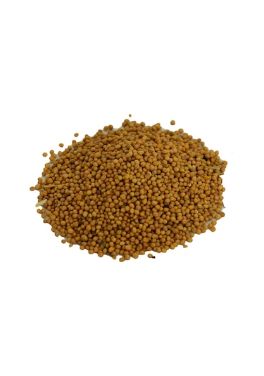 Lokman Avm Hardal Tohumu Tane Doğal Sarı 100 G