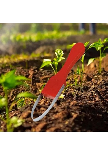 Trendooze Homyl Tarım Arazileri Bahçe Çim Yardımcısı Ot Kırmızı, Tarım Ürünleri