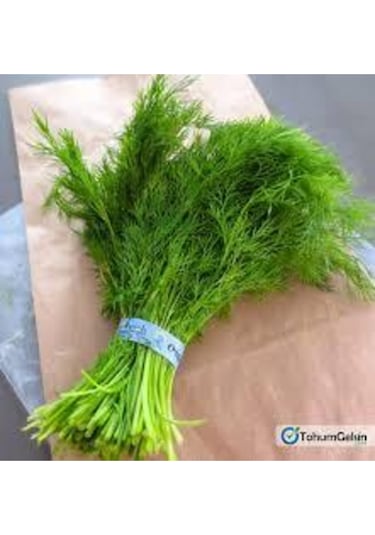 75 Adet Tohum Sebze Dere Otu Tohum Sürpriz Hediye Tohum Yeşil Dere Otu