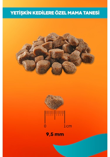 Sensitive Somon Ve Pirinçli Yetişkin Kedi Maması 2kg