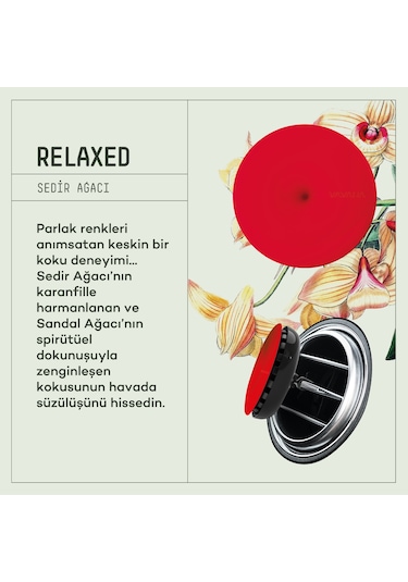 Vavana Araba Klima Kokusu Spin Oto Kokusu Relaxed