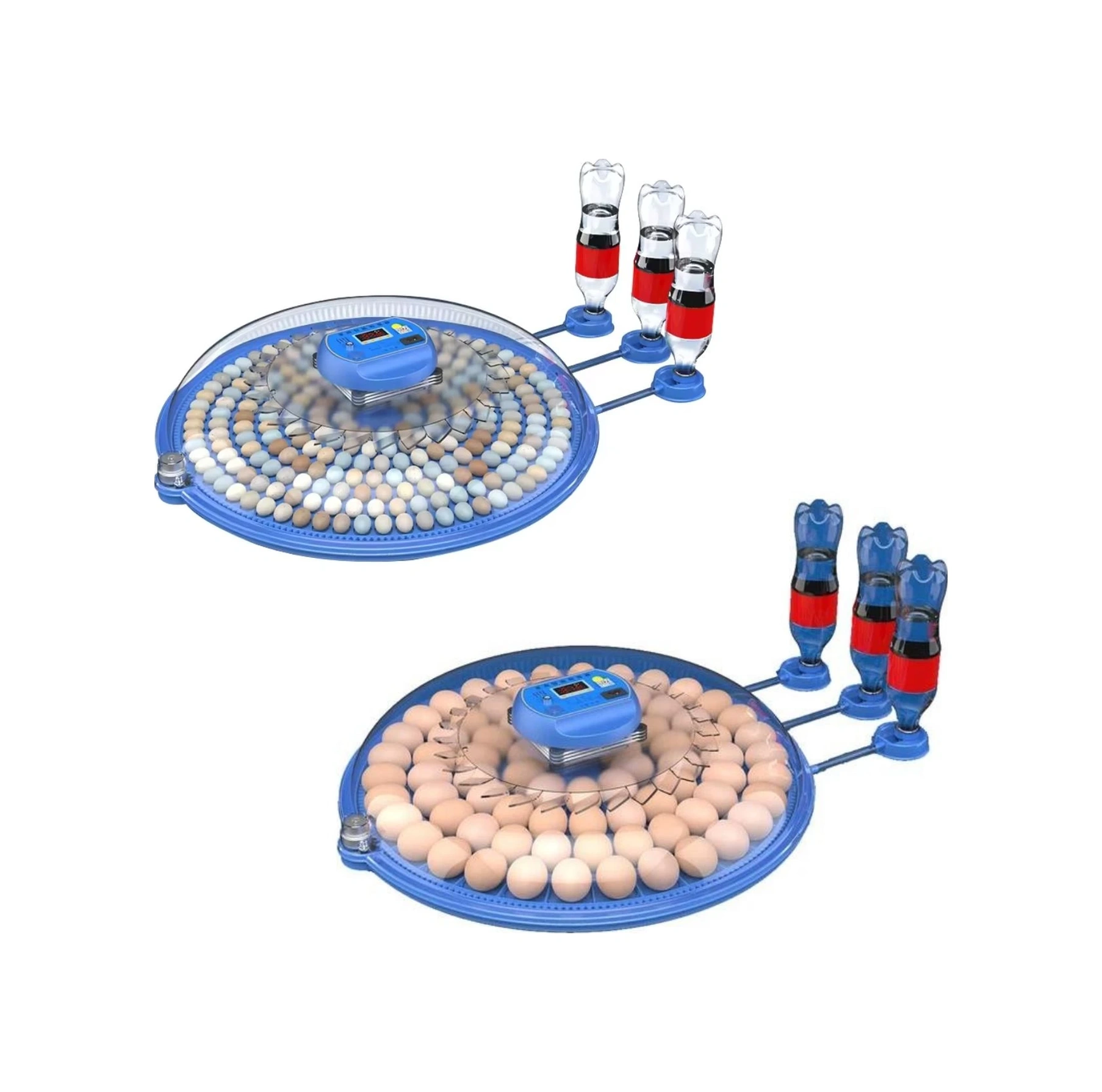 80/240 Kapasiteli Çift Viyollü Kuluçka Makinesi Kaz Ördek Tavuk Bıldırcın Kuşlar İçin
