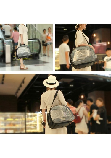 Homyl Katlanabilir Şeffaf Yavru Köpek Kedi Taşıyıcı Açık