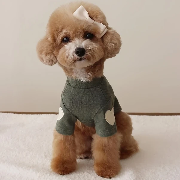 Elmpaly Beige L Küçük Orta Boy Köpek Kazak Yünlü Kalp Desen Makinede Yıkanabilir