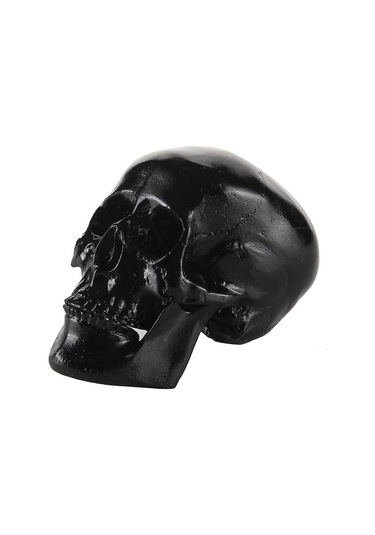 Suntek Reçine Çoğaltma Sanat İnsan Kafatası Modeli Parti