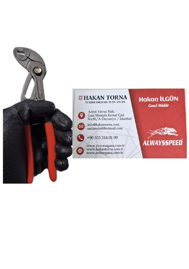 Pro 160mm Ayarlı Ford Pense Düğmeli Cr-v Papağan Pense