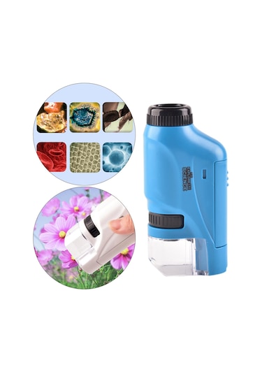 Suntek Çocuklar Bilim Yeni Başlayanlar Hayvanlar Bitkiler Mavi