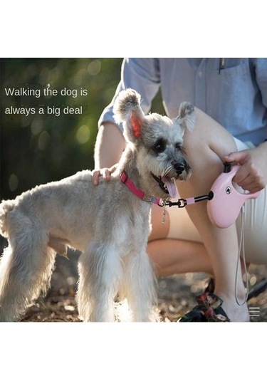 Soulader Otomatik Geri Çekmeli Kökenli Köpek Tasma Kayışı, Uzayabilir İpli Tasma, Küçük Orta Büyük Irklar İçin