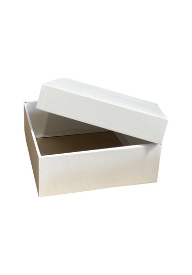 20X20X9 Cm Kapaklı Beyaz Kutu,E Ticaret Kargo Kutusu