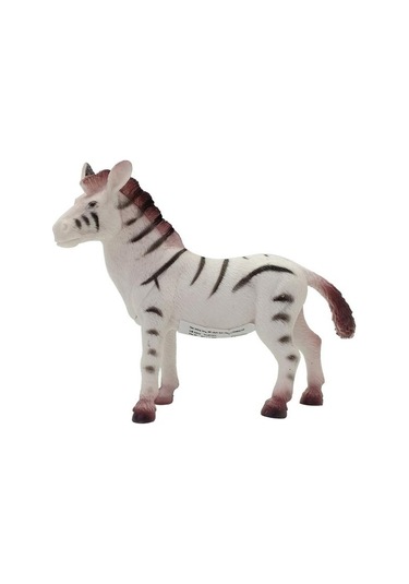 Vahşi Hayvanlar Serisi - Ys2689-zebra