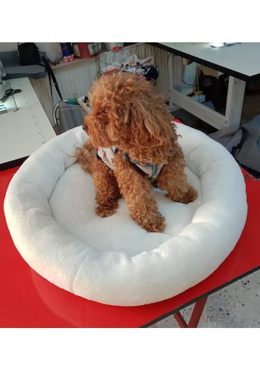 Devigo Isıtıcılı Kedi Köpek Yatağı