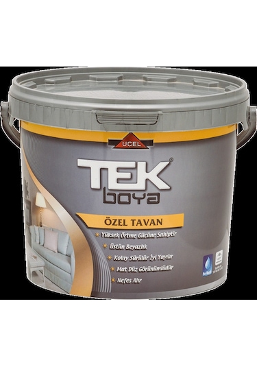 Tek Boya Tavan Boyası Plastik Beyaz 20 KG