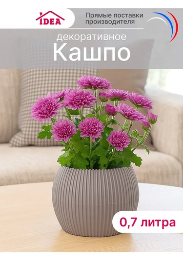 Idea İç Mekan Ve Sukulentler İçin Saksı 0,7l 147333882