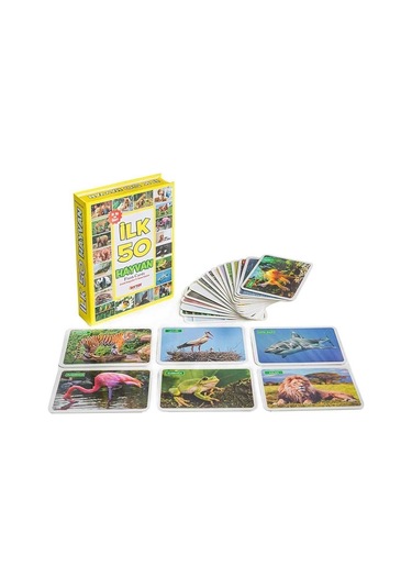 Diytoy F.cards Yaşam Alanında İlk 50 Hayvan