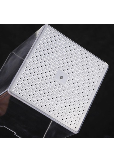 Homyl Yüzen Balık Yetiştiricisi Kutusu Palyaço Balığı,