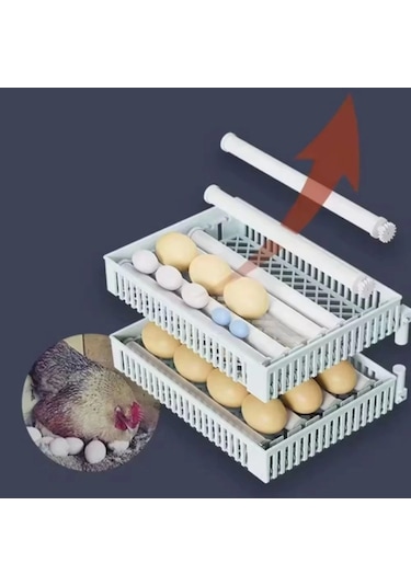 48 Tavuk Yumurtası Kapasiteli Tam Otomatik Hobi Kabin Tip Kuluçka Makinesi