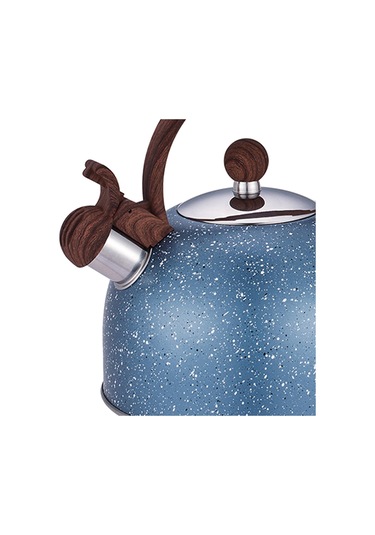 Homyl Islık Çalan Çaydanlık Ocak Malzemeleri Mutfak Mavi Diğer