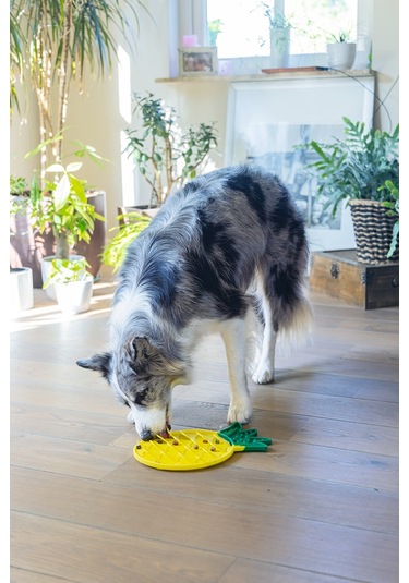 Beeztees Yavru Köpek Yaş Mama Yeme Oyuncağı, Ananas Şeklinde,silikon, Sarı, 20x20cm