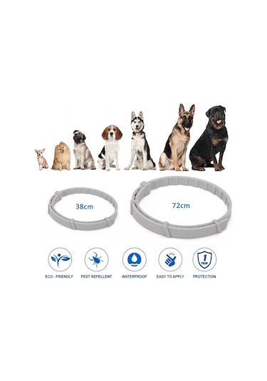 Pire Ve Kene Yaka Köpekler İçin Alüminyum Kasa İle Kediler, Boyut: 72cm Turuncu Çok Renkli