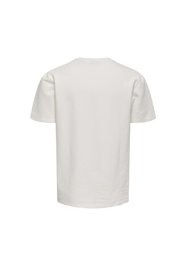 Only & Sons Erkek T Shirt 22028692 Ekru