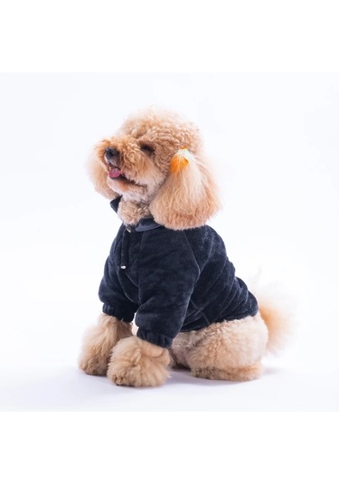 Pawstar Antrasit Jaipur Küçük Irk Köpek Peluş Ceket