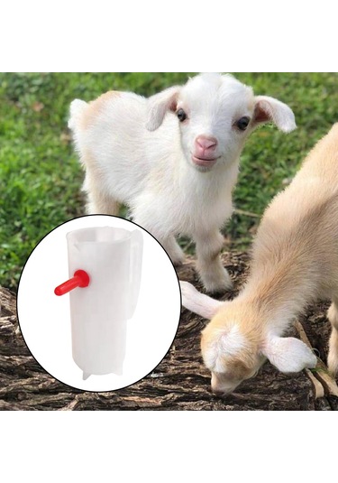Suntek 800ml Kuzu Besleme Kapları Küçük Kuzu Keçi Beyazı