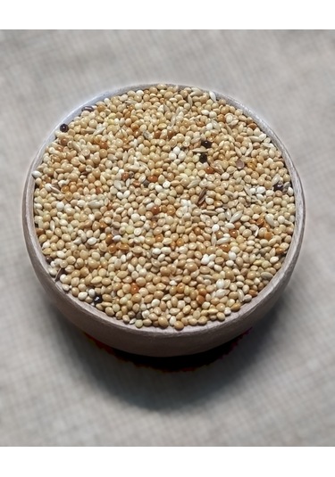 Karışık Kuş Yemi 500 G