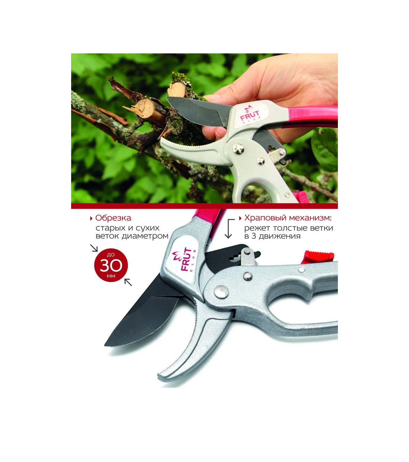 Frut Club 30 Mm'ye Kadar Kesim İçin Mandallı Mekanizmaya Sahip Bahçe Budama Makası 13976667