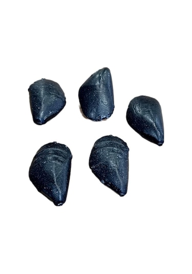 Trançabalıkçılık 5 Adet Midye Kurşun 70 Gr