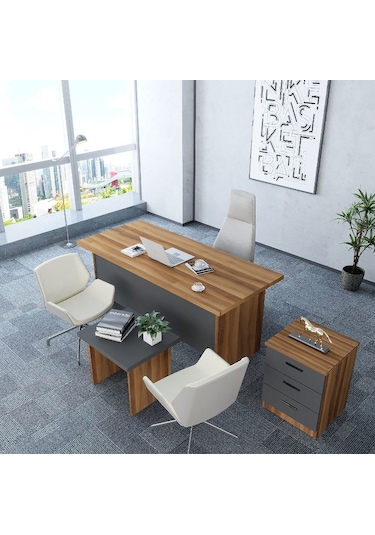 Asil 3'lü Ofis Takımı  Model 9 Ceviz Füme