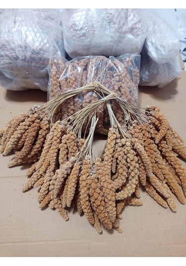 Kızıl Dal Darı Doğal 1000 Gr