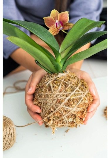 Jut İpi 100 Gr Doğal İp, Çuval İp, Hasır İp, Hasır Renk 1 Adet