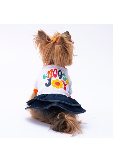 Pawstar Gri Santa Rosa Kedi Köpek Elbisesi